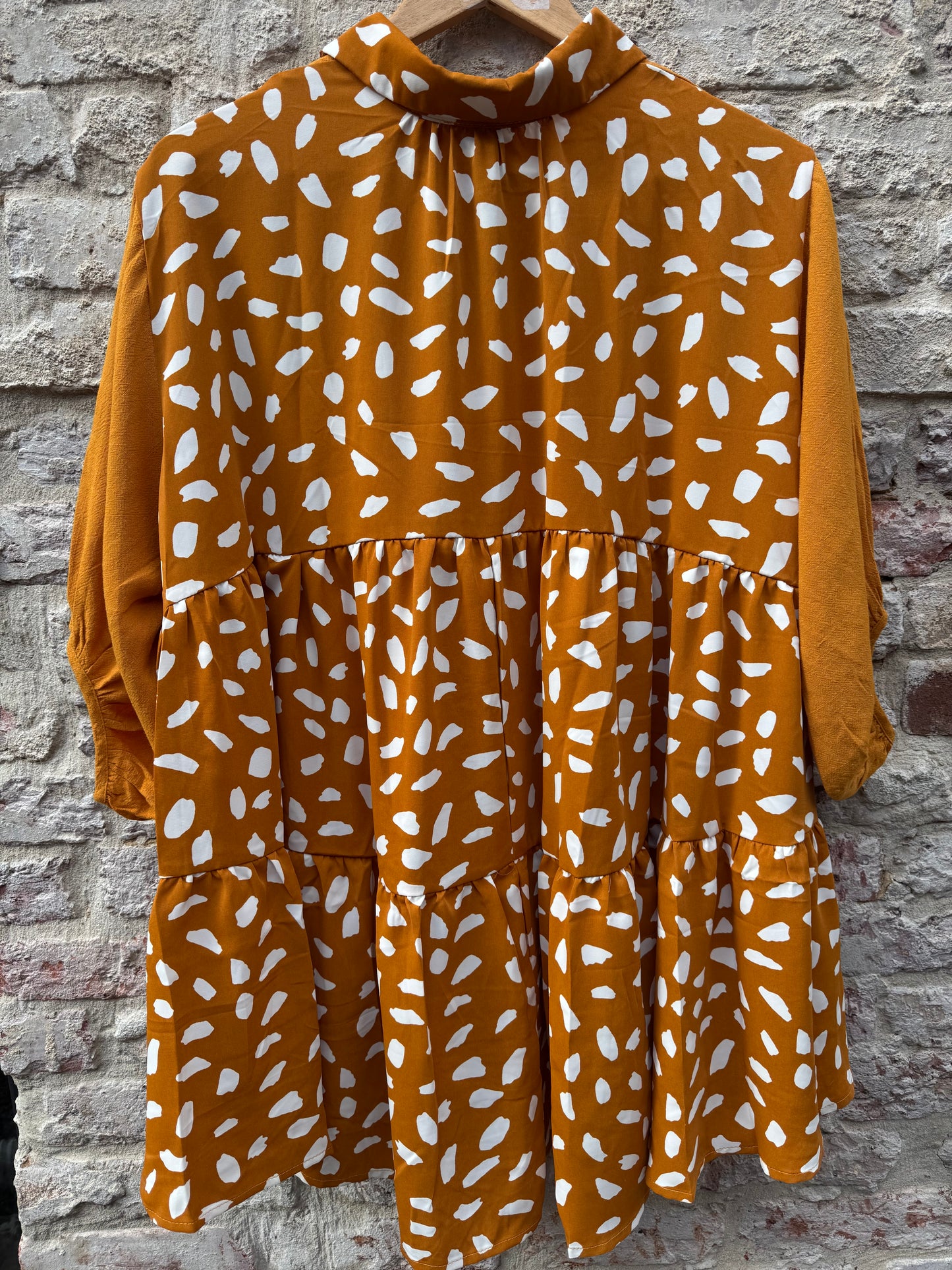 Animal Print Back Collared Tunic Blouse